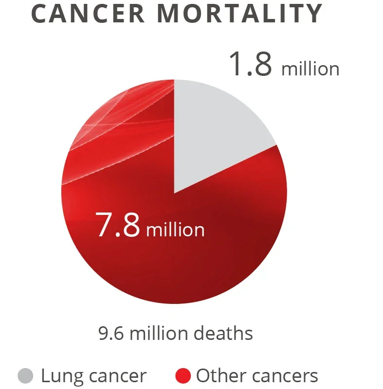 disease-burden-2.jpg